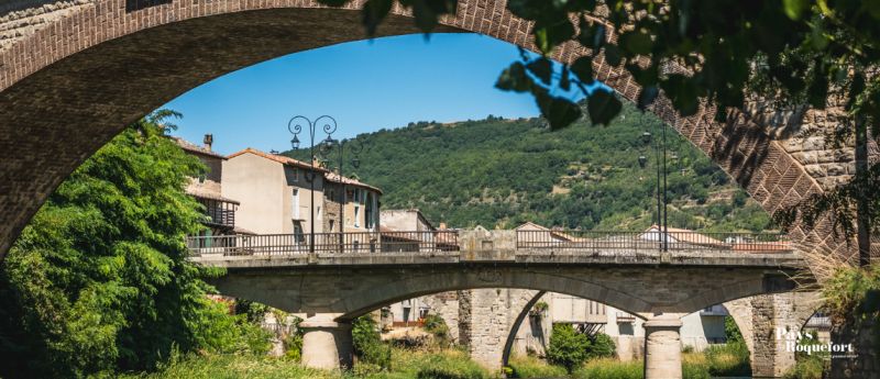 Ponts à Saint-Affrique