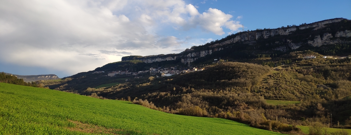 Village de Roquefort Sur Soulzon