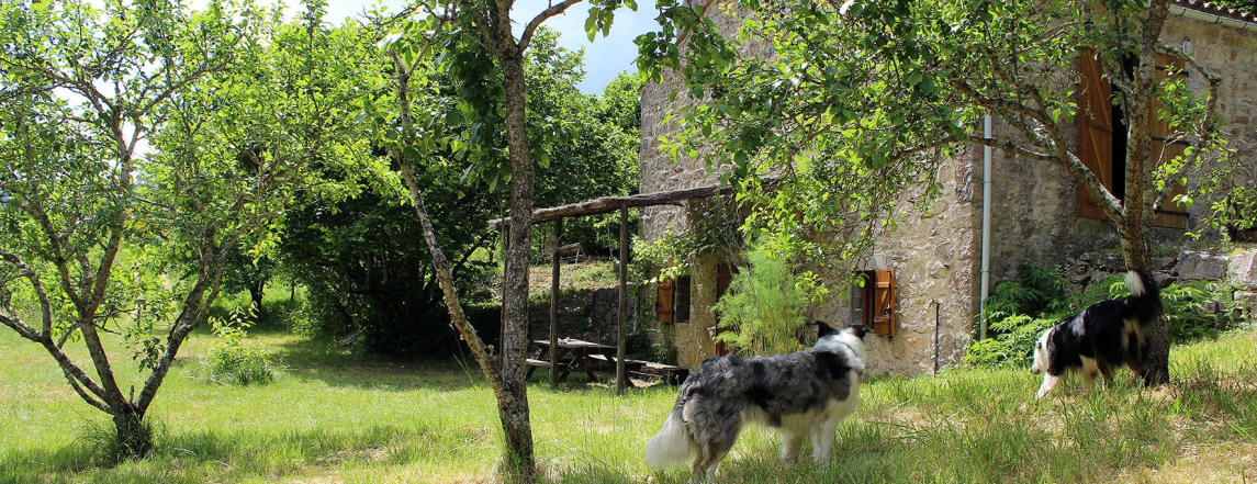 La Maison de Vignes