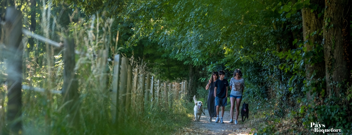 Balade à la passerelle de Saint-Affrique