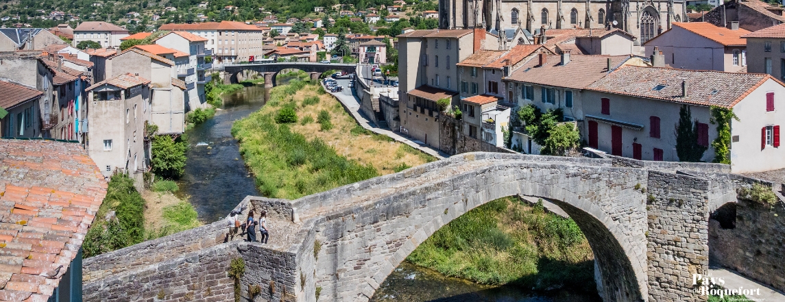 Pont vieux Saint-Affrique