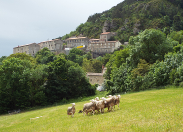AGROPASTORALISME ET ROQUEFORT