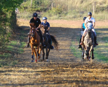 Piste de Galop