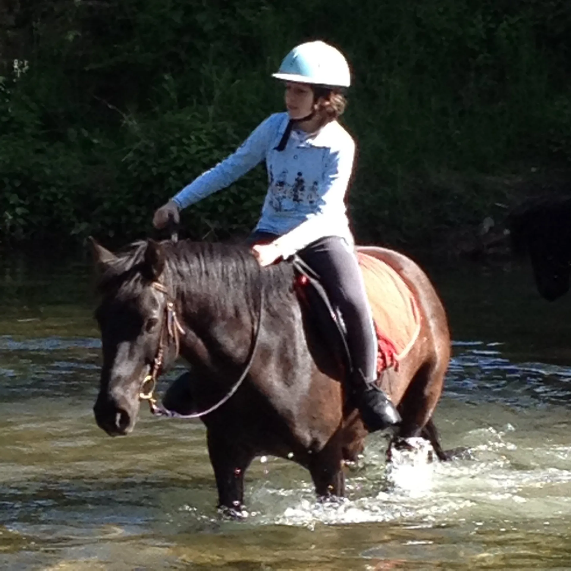 Centre Equestre Municipal de Saint Affrique