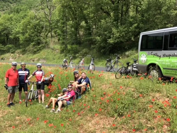 Location vélos - Cycling Magnolias