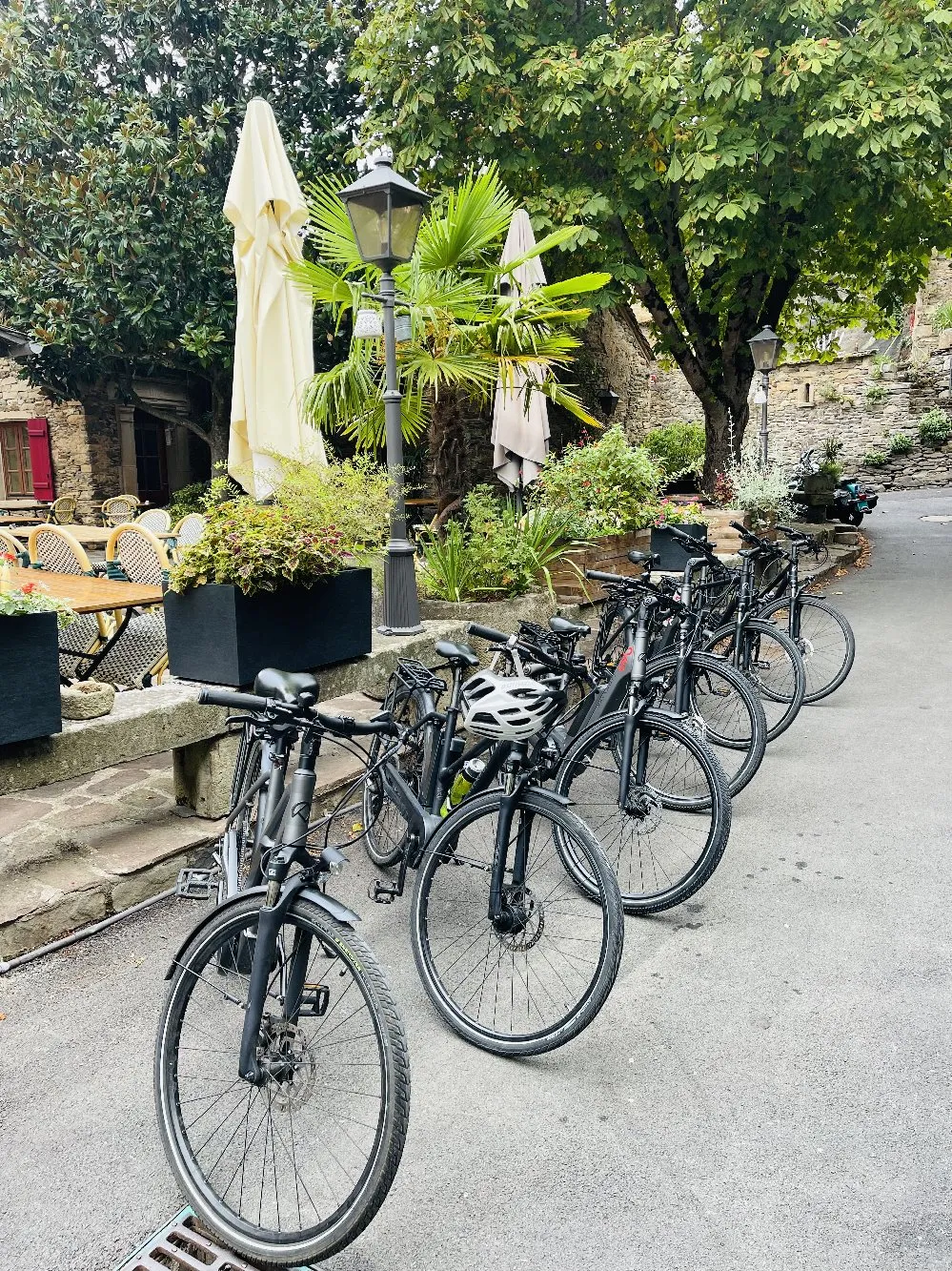 Location vélos - Cycling Magnolias