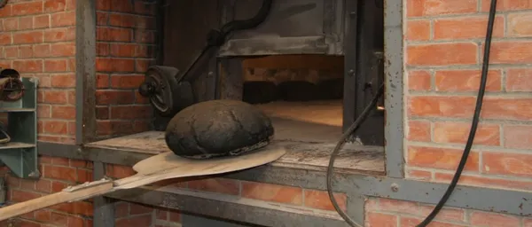 Caves Papillon - Journées Européennes du Patrimoine