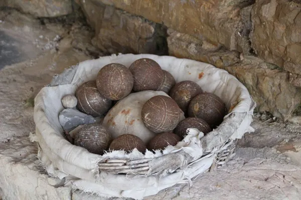 Domaine de Nougayrolles : Gîte Les Lavandes