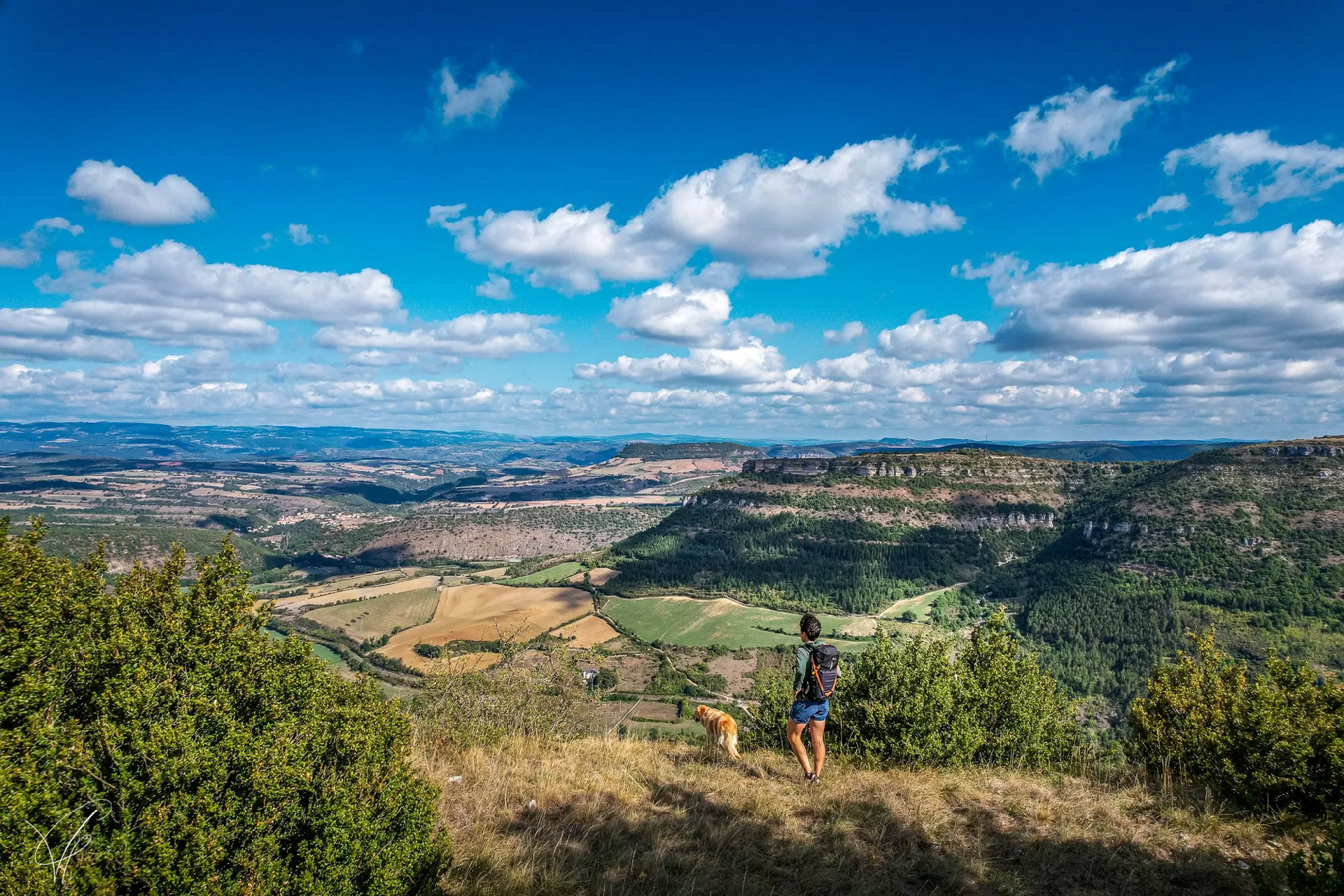 Itinérance au Pays du Roquefort