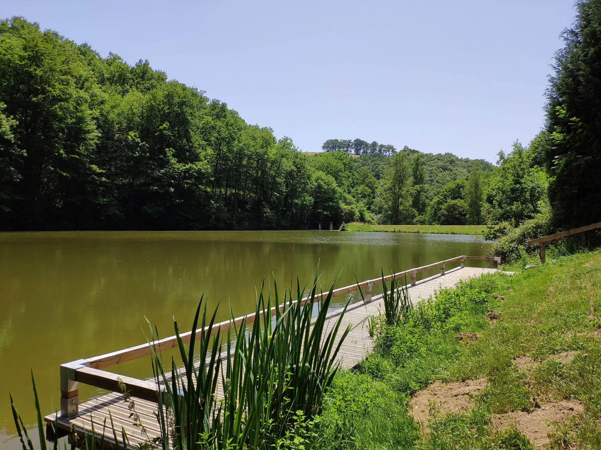 Pêche au plan d'eau de Masnau