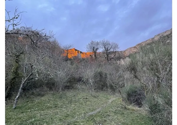 La Maison de Vignes