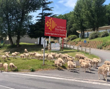 Lycée agricole La Cazotte