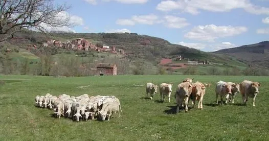Lycée agricole La Cazotte