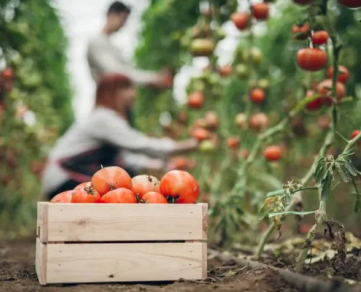 Les jardins de Lamayous