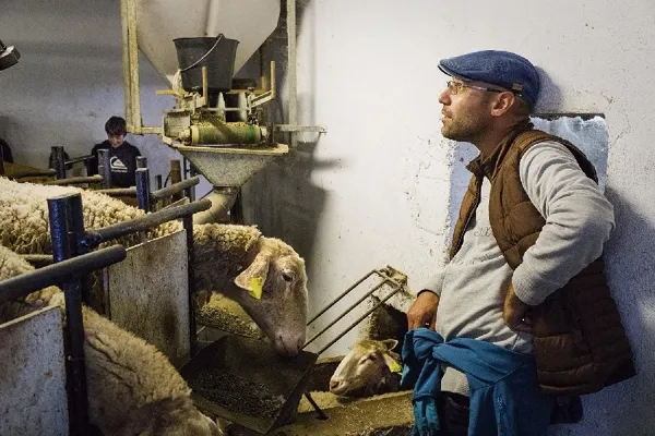 Ferme d'Alcas - visite libre