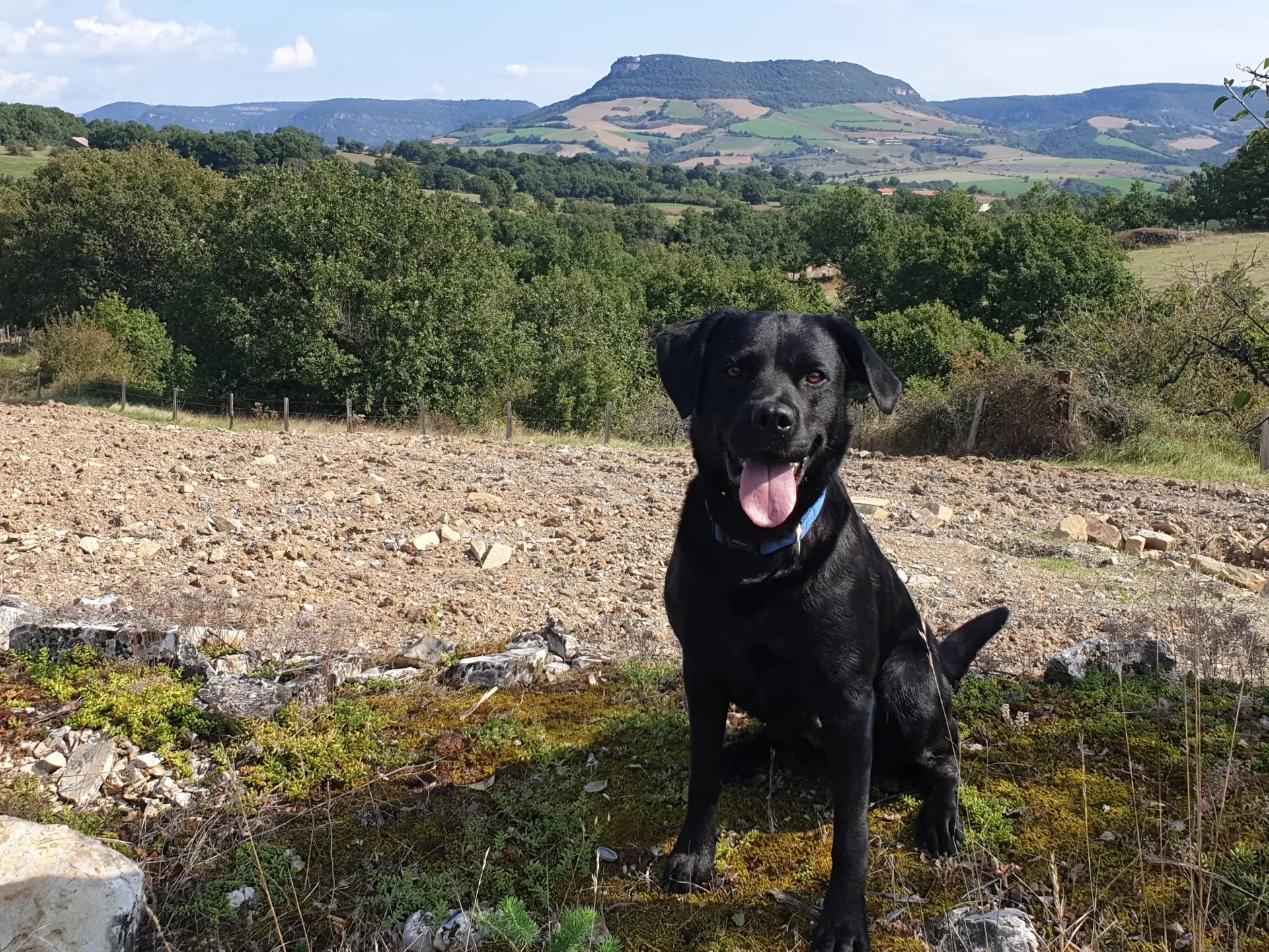 Entre Larzac et Lévézou : un petit air méridional