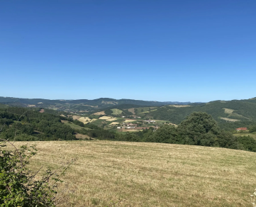 Sur les chemins des femmes de la terre