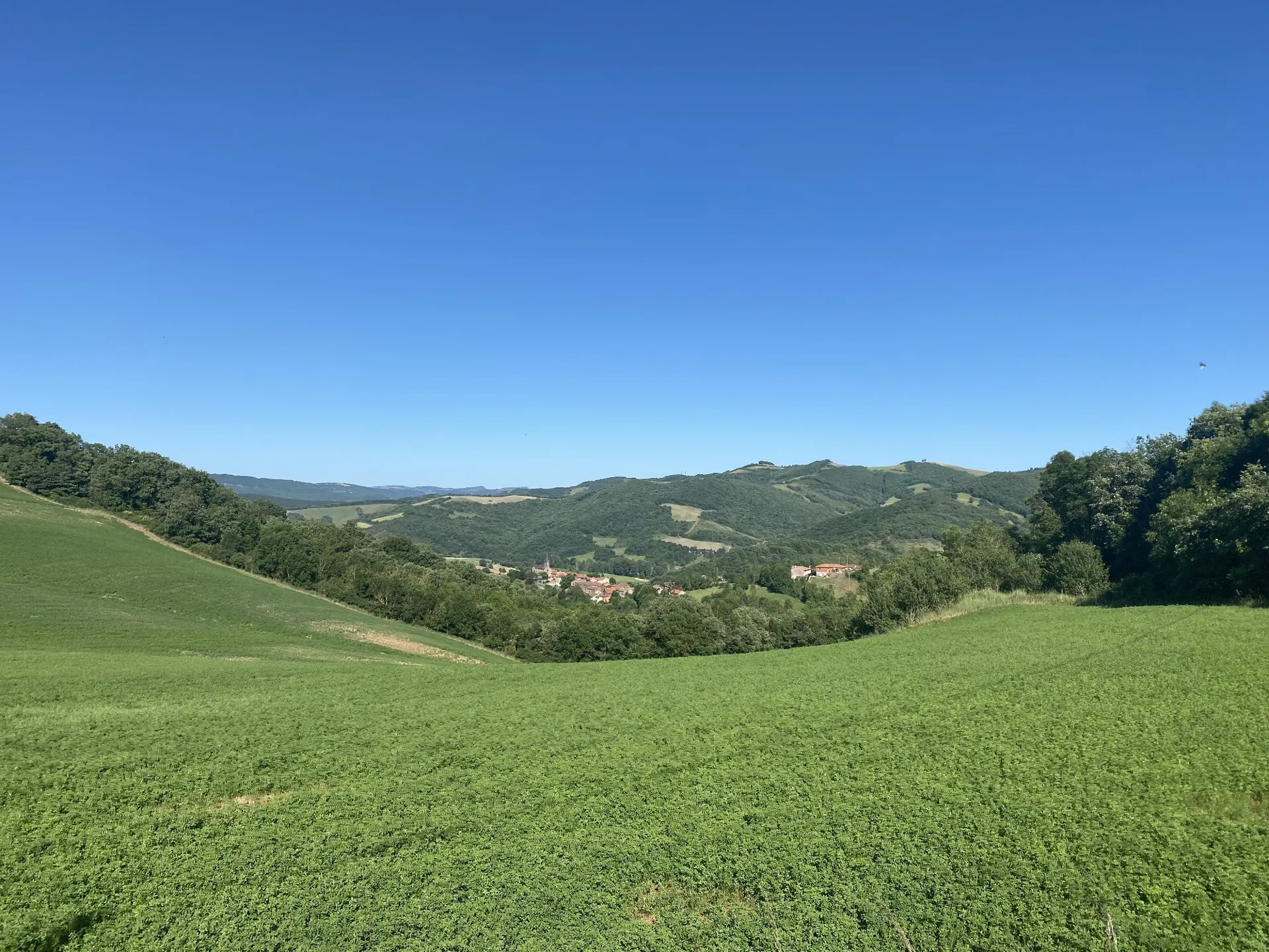 Sur les chemins des femmes de la terre