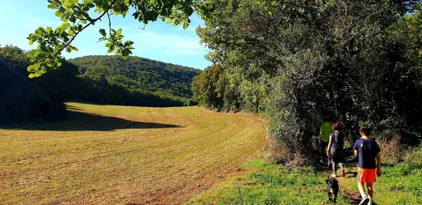 Le volcan des causses