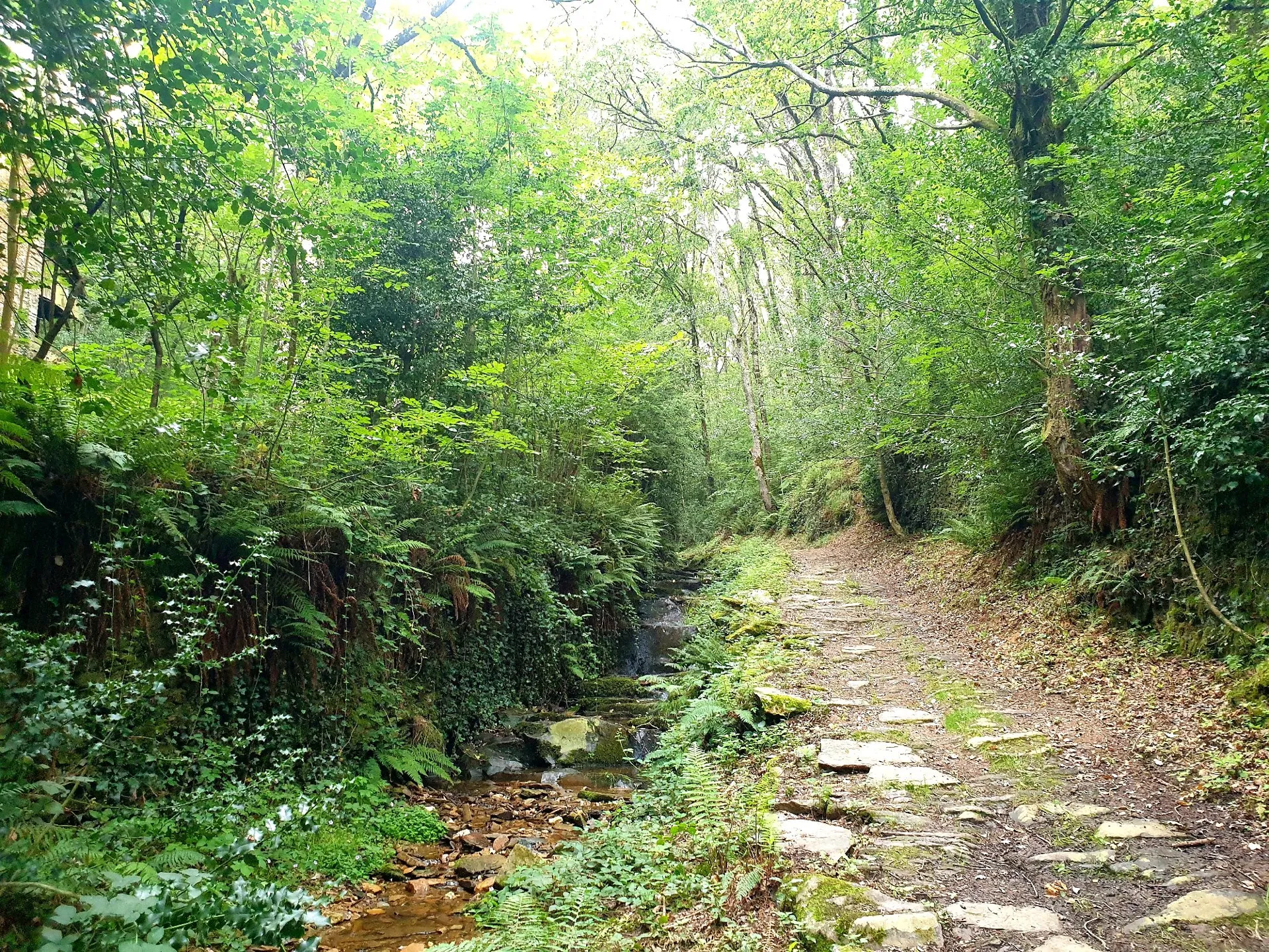 N°19 - À fond les vallons !