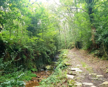 N°19 VTT - À fond les vallons !