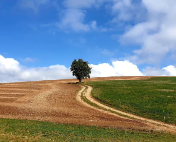 N°11 VTT - Contreforts de la Loubière