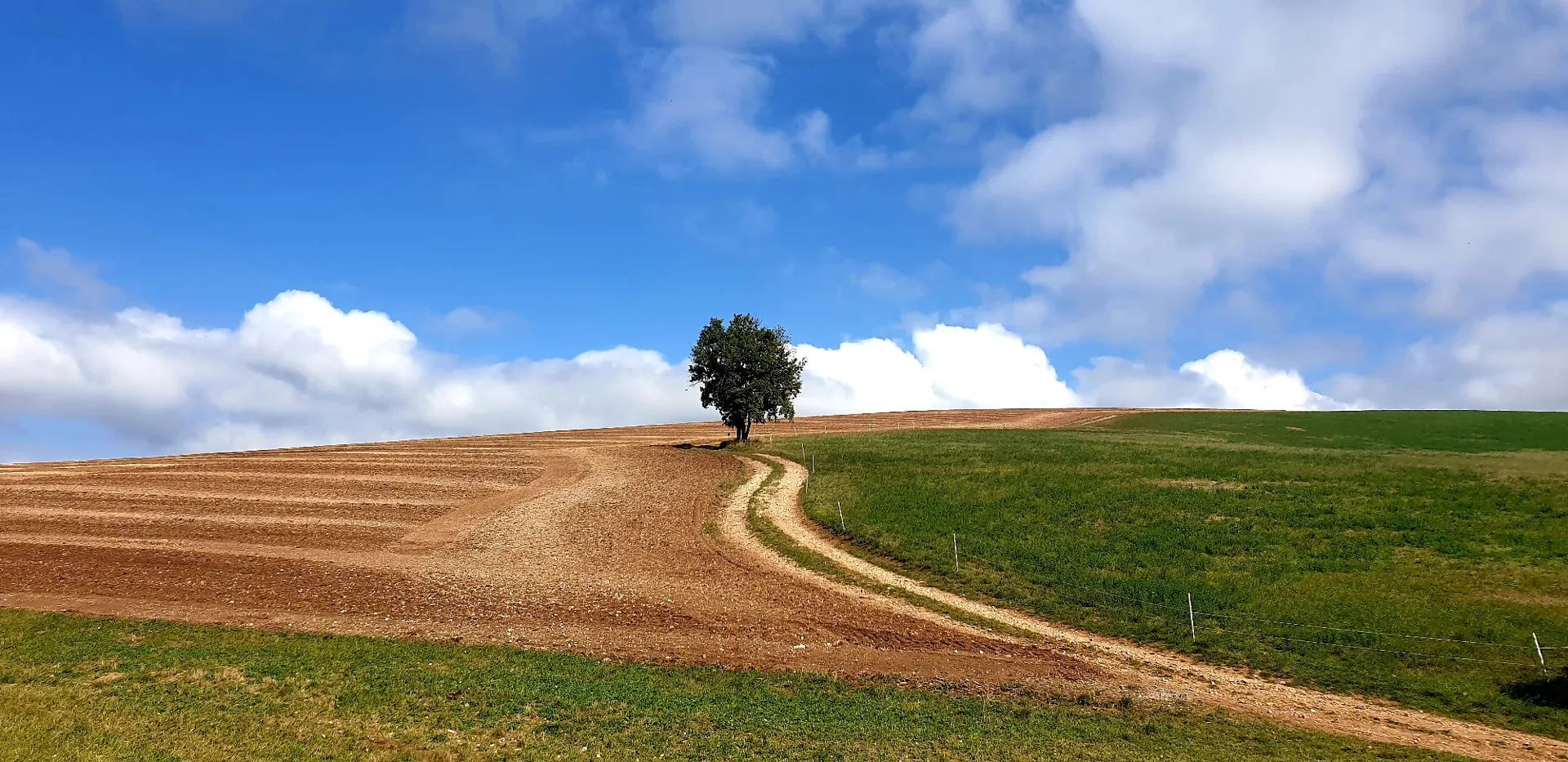 N°11 VTT - Contreforts de la Loubière