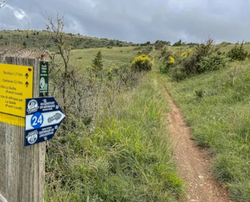 Trail running No. 24 Saint-Affrique