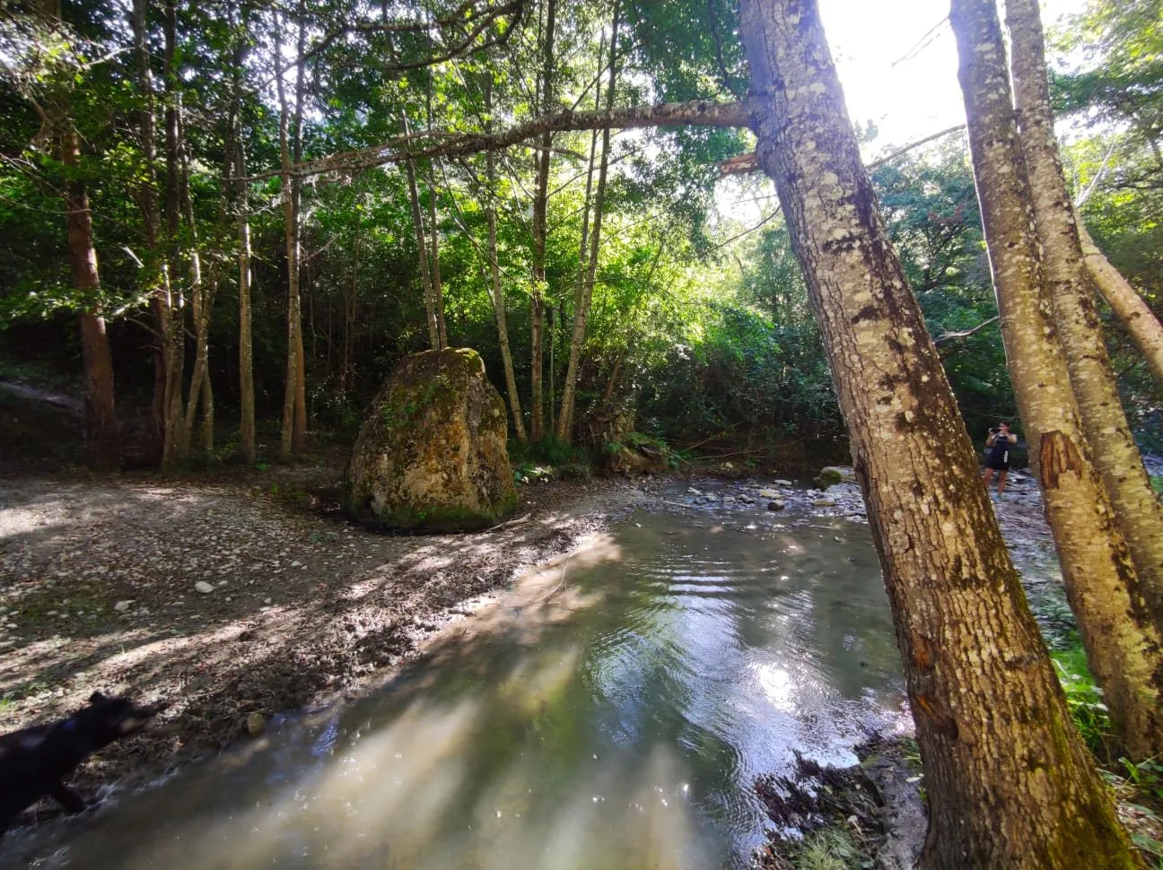 Sentier du Menhir