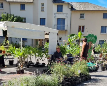 Foire aux Plantes