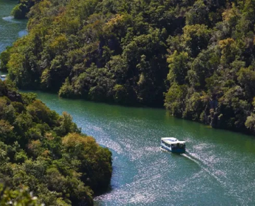 Le Héron des Raspes - croisière découverte sur le Tarn