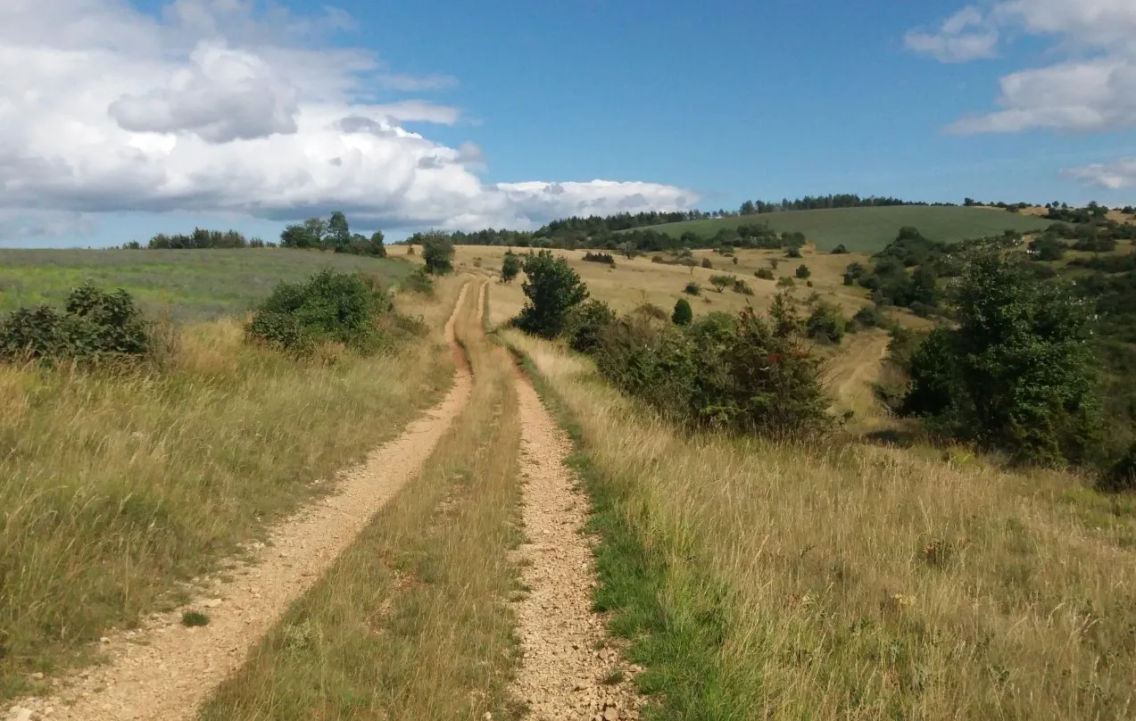 Trail : Descente Chrono Mur de la Loubière