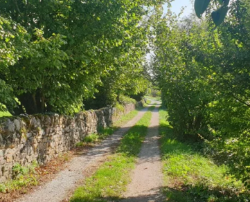 Trail running : Timed downhill of the Mur de la Loubière