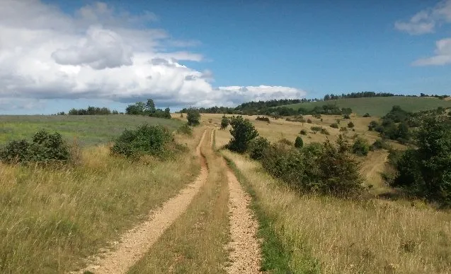 Trail : Chrono Mur de la Loubière