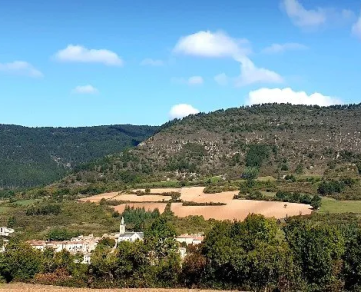 Trail : Chrono Mur de la Loubière