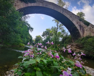 N°6 The river Sorgues banks