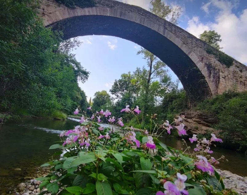 N°6 VTT - Les berges de la Sorgues