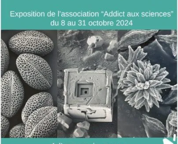 Exposition : Images de Microscopie Electronique