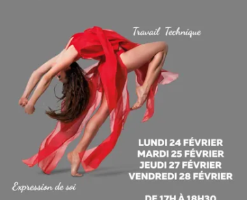 Stage de Danse : Moderne et Lyrique