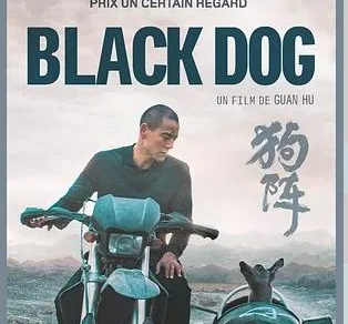 Black Dog