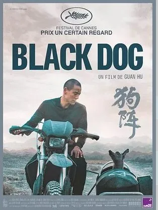 Black Dog