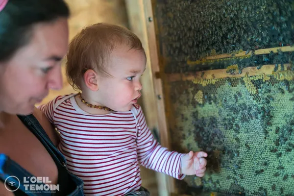 L'Arc en Miel : visite-immersion au coeur du monde des abeilles