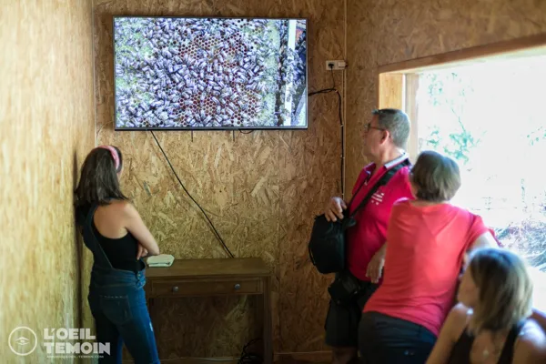 L'Arc en Miel : visite-immersion au coeur du monde des abeilles