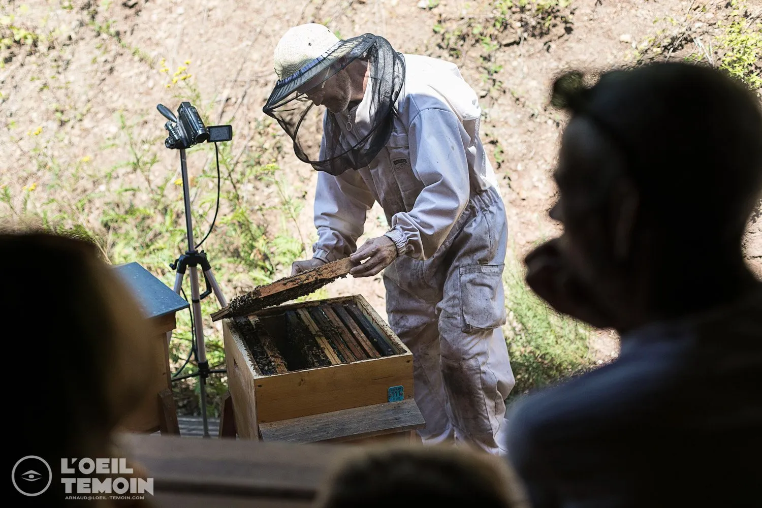 L'Arc en Miel : visite-immersion au coeur du monde des abeilles