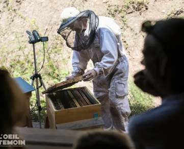 Visite de la miellerie l'Arc en Miel - Immersion dans le monde des abeilles