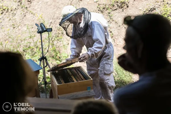 Visite de la miellerie l'Arc en Miel - Immersion dans le monde des abeilles